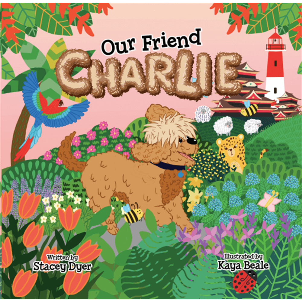 Our Friend Charlie By Stacey Dyer (Paperback)